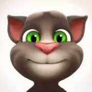 Talking Tom Cat icon