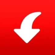 Pinterest Video Downloader  icon